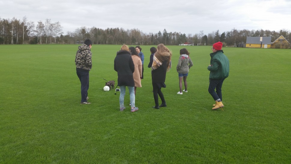 football, friends, grass, dog
